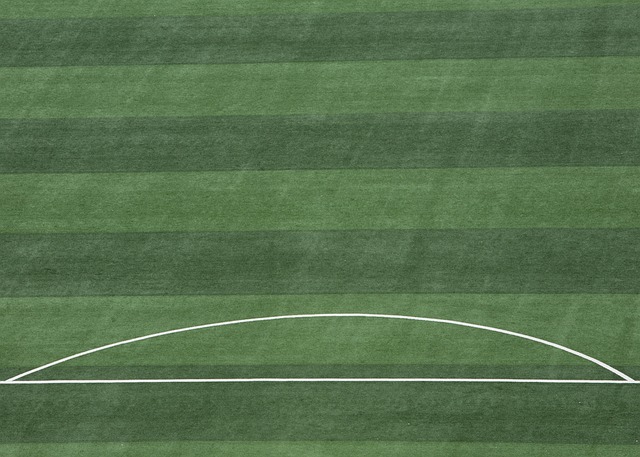 现已无可挑 现已无可挑