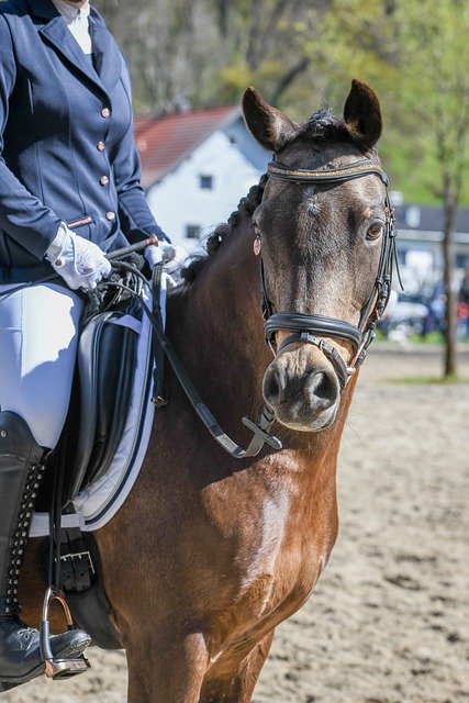 吸引到一位 吸引到一位