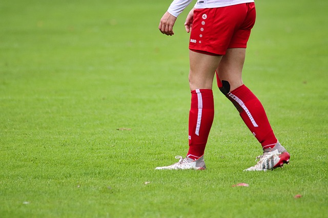 这不仅是对 这不仅是对