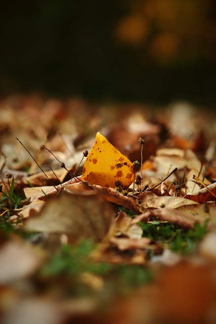更是一场实 更是一场实