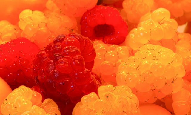 求与行动 求与行动