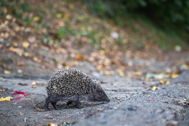 犯错不可怕 犯错不可怕
