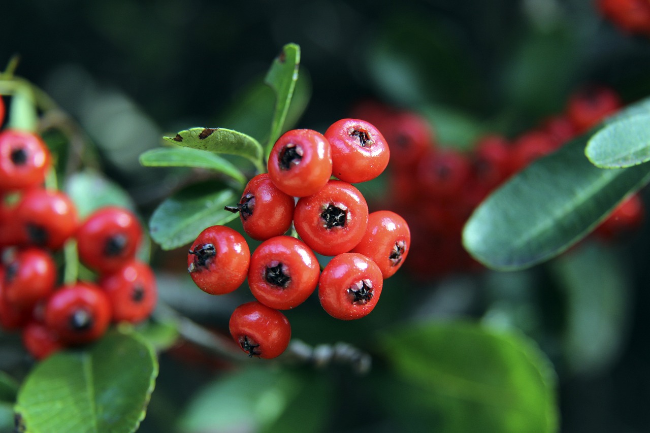 為法國球星 為法國球星